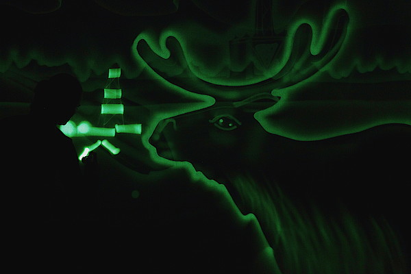 Шоу световых картин «Зеленый енот»